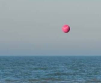 Roze bol foto