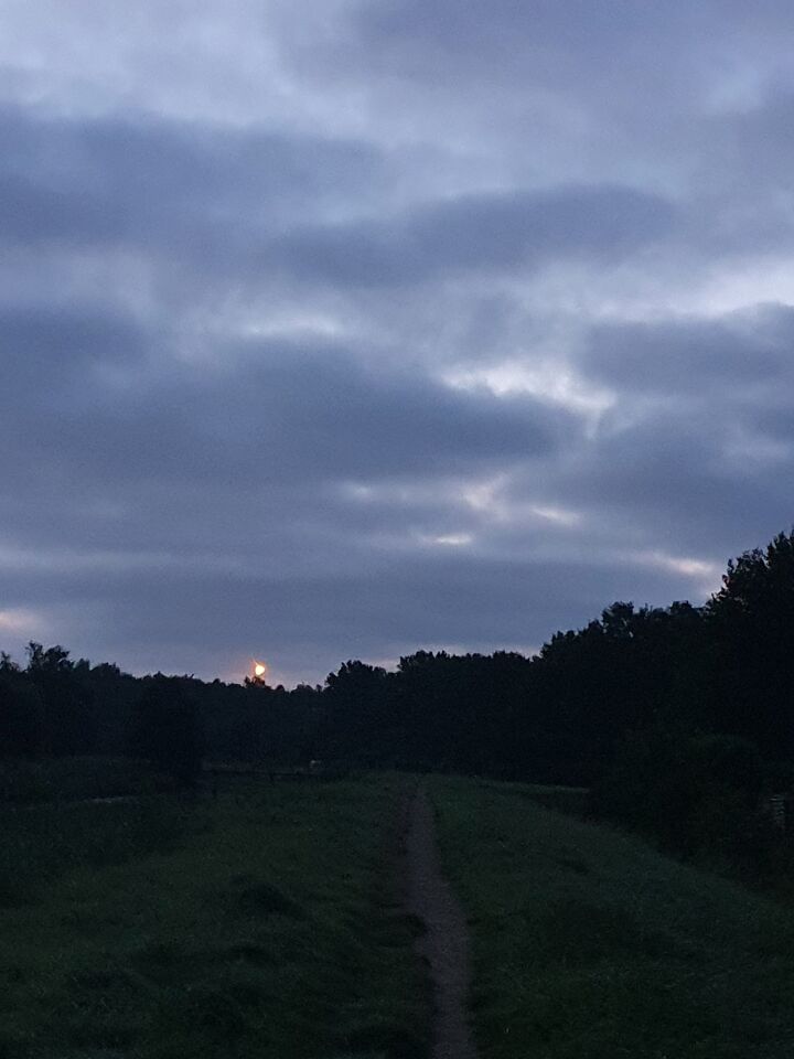 2 lichten die op gelijke afstand van elkaar bewogen. 1 bal net op de foto foto