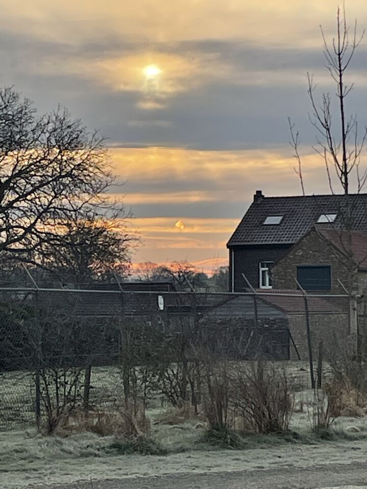 Oranje bolletjes foto