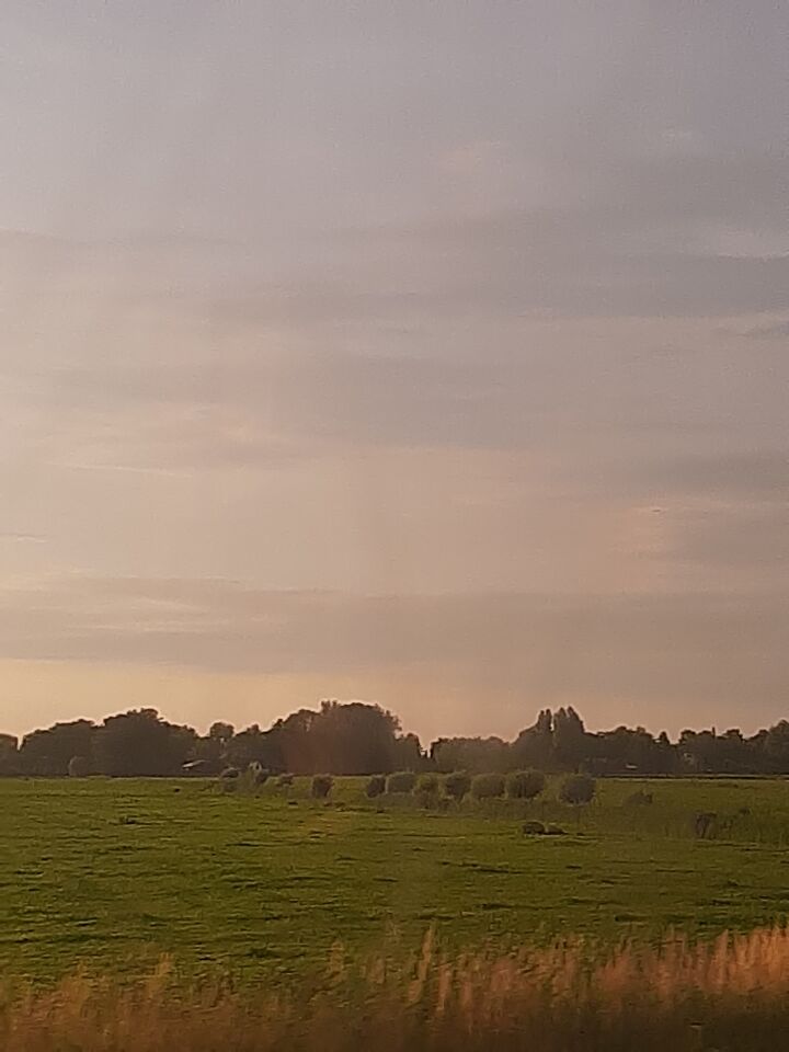 Zwart schijfje in de verte foto s van de zomer genomen in de trein van utrecht foto