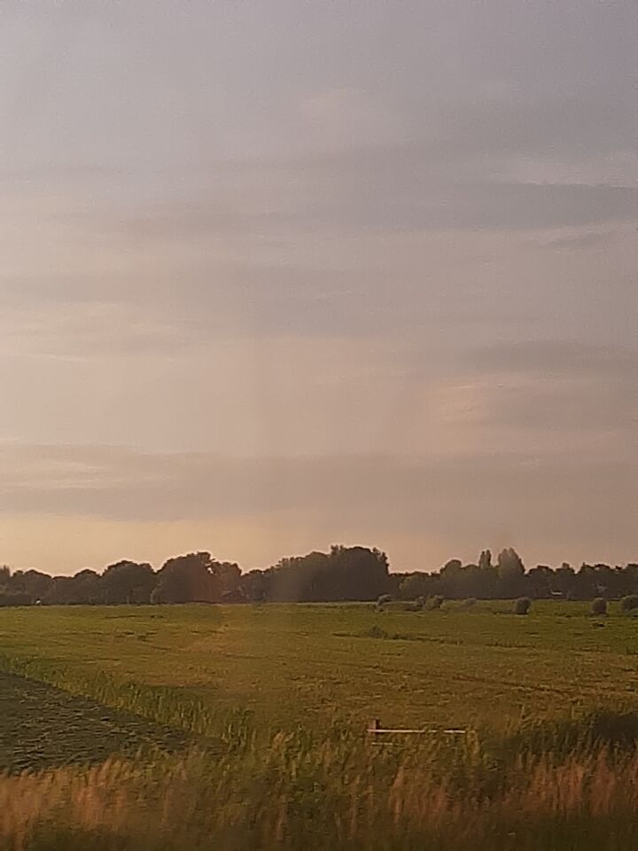 Zwart schijfje in de verte foto s van de zomer genomen in de trein van utrecht foto