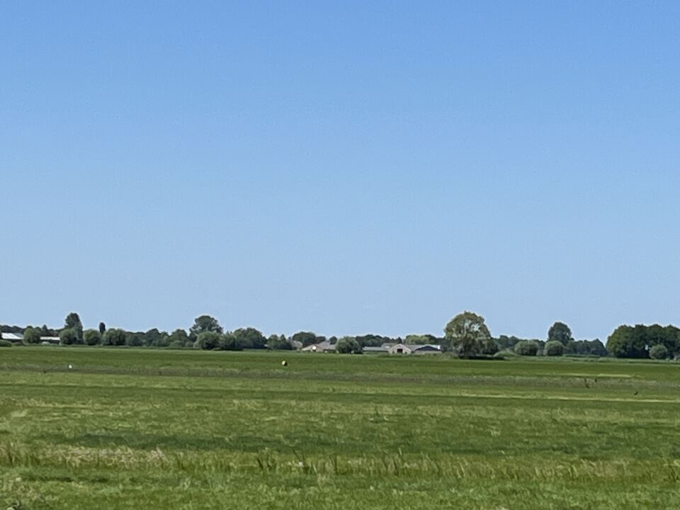 Draaiende metalen reflecterende bal in weiland foto