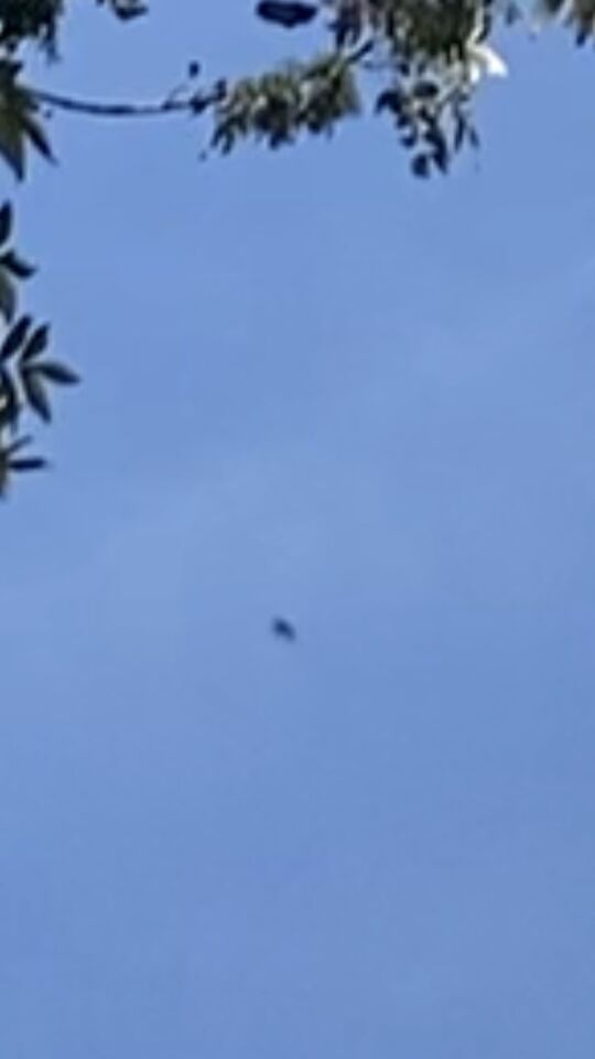 Ufo ronde licht bol gespot foto