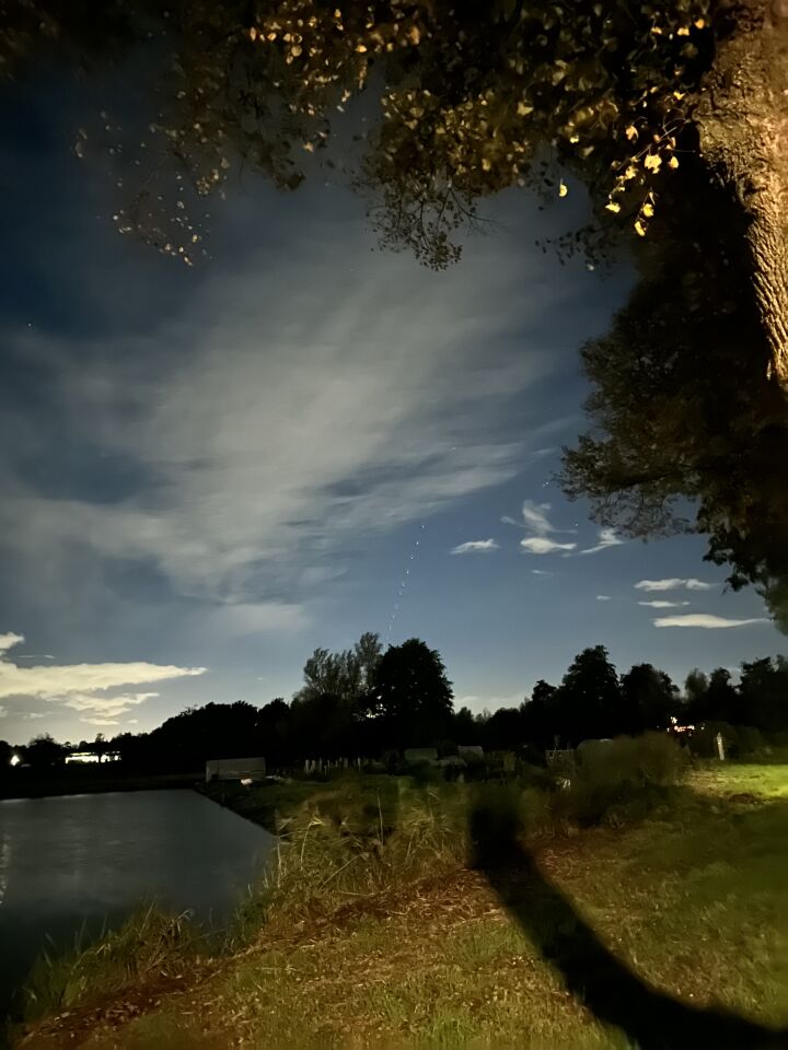 Lieten hond uit en zagen patroon lichten naar boven gaan. foto