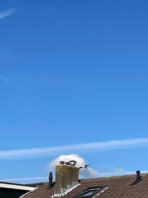 Bolvormig glanzend object boven noorden Hoeksewaard Rotterdam-Zuid foto