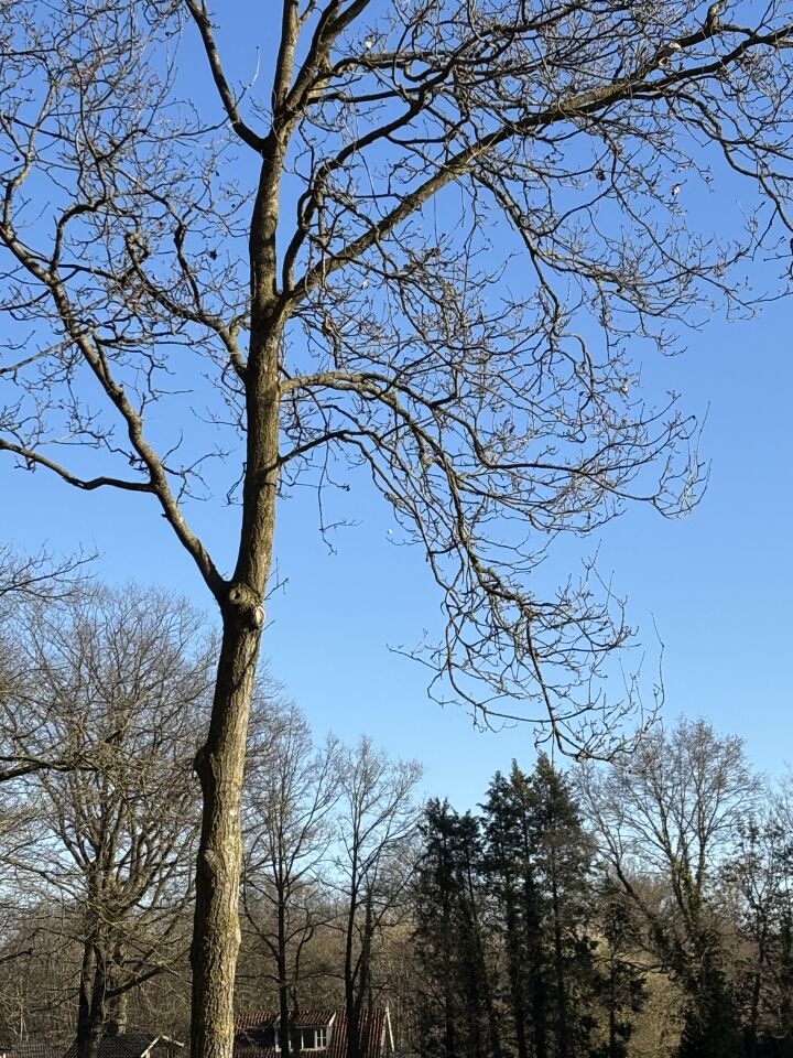 Witte bal in de lucht foto