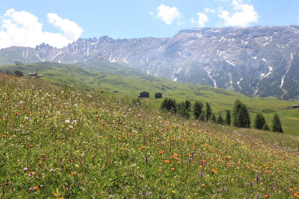 Ufo in Zuid Tirol op de Seiseralm kastelruth (Italie) foto