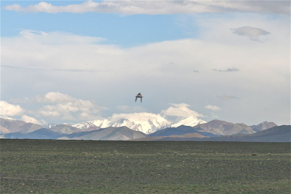 Vreemd object gefotografeerd in Mongolië foto