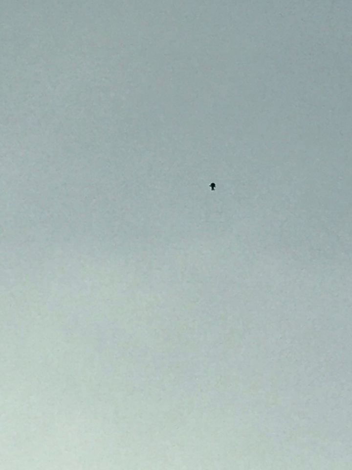 Zwarte druppel vormige UFO foto