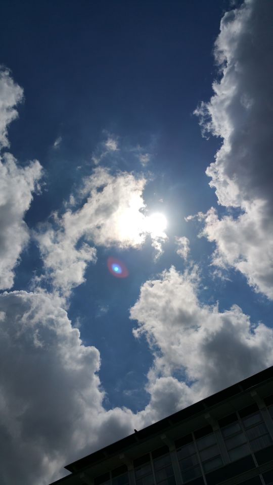 Vreemde bal wie weet wat dit is ? Foto gemaakt bij het lyeburg ziekenhuis den haag foto