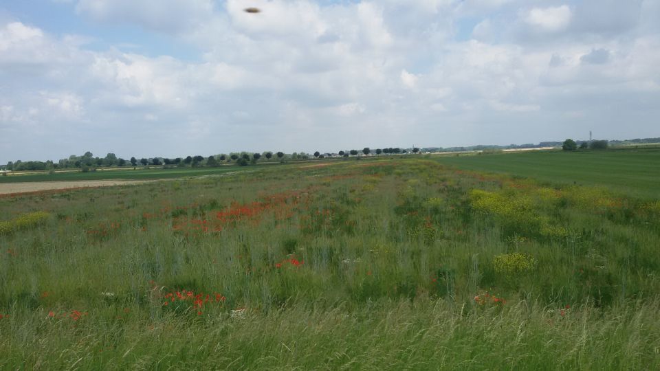 Twee foto's vlak na elkaar gemaakt, 1 met gedraaid toestel foto