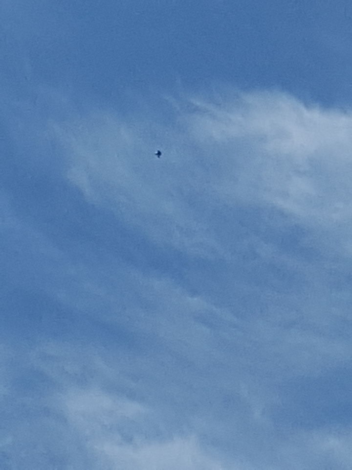 Ballon/bolvormig object met onregelmatige dingen eronder. Geen geluid en langzaa foto