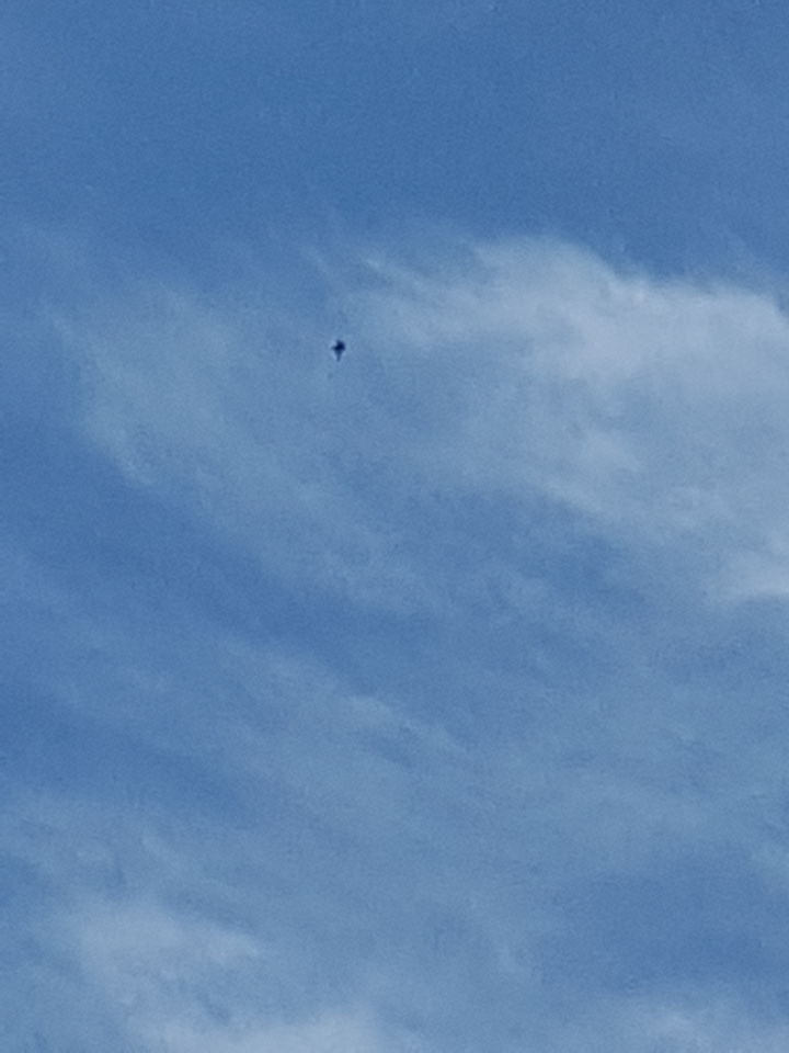 Ballon/bolvormig object met onregelmatige dingen eronder. Geen geluid en langzaa foto