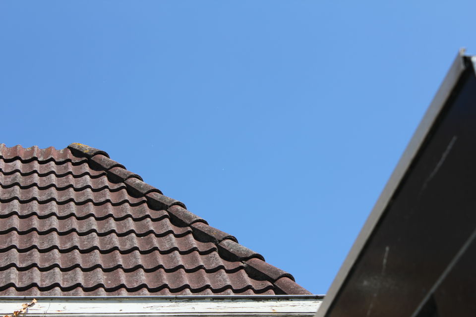 Bollen in de lucht foto