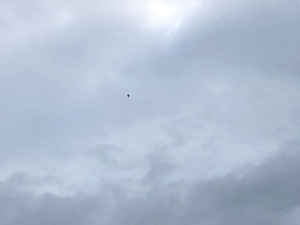 Een zwarte UFO langs de horizon foto
