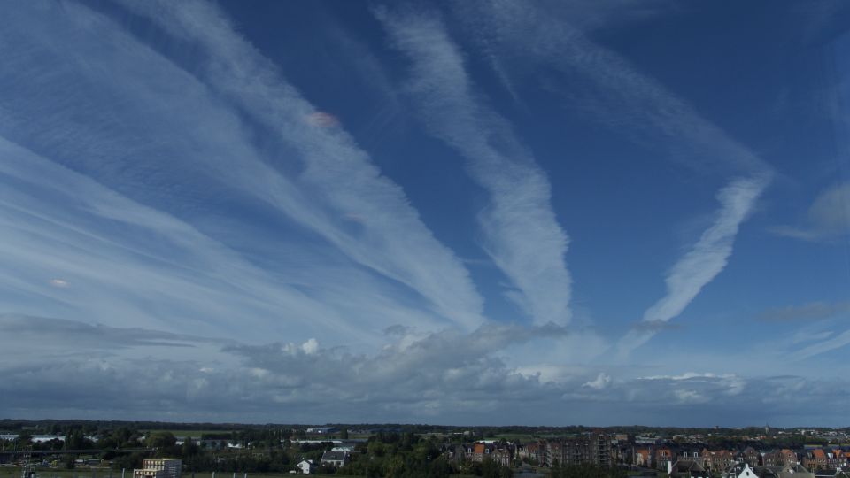 14 foto's met roze zwembandvormige voorwerpen foto