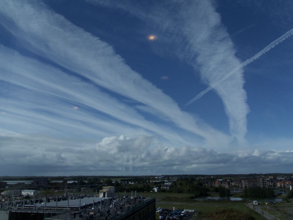 14 foto's met roze zwembandvormige voorwerpen foto