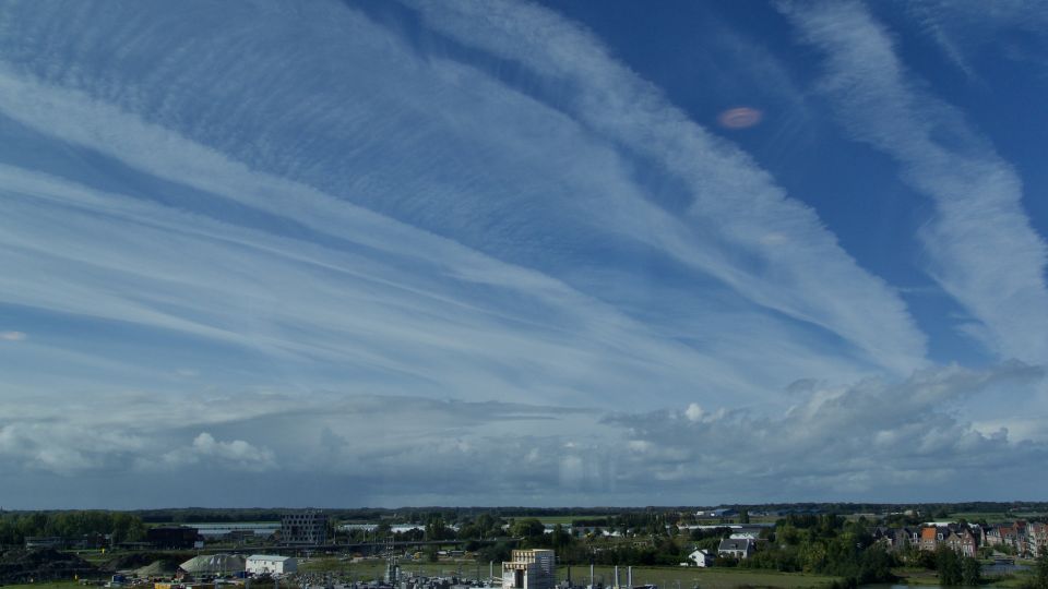 14 foto's met roze zwembandvormige voorwerpen foto