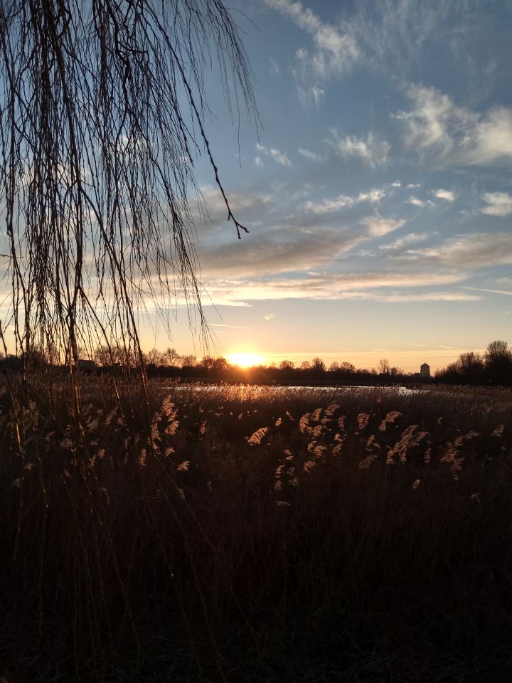 Bol die op een wolk lijkt niet op een spiegeling van de lens foto